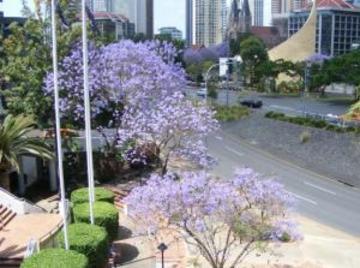 Quality Hotel The Inchcolm Brisbane Exterior foto